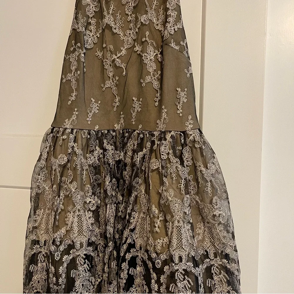 Aniina Embroidered Lace Dress - Picture 3 of 5